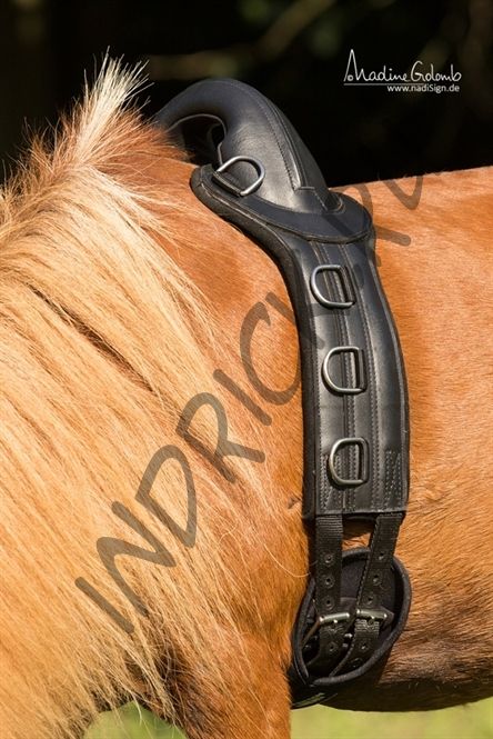 Гурта Save-My-Spine Pony