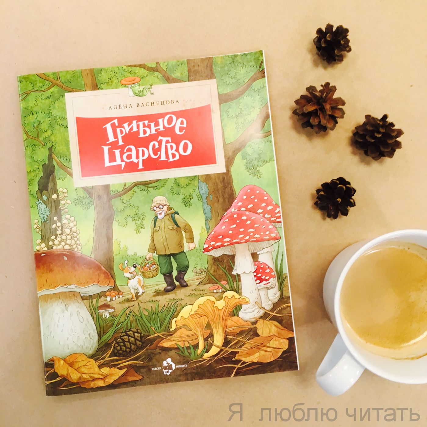 Книга «Грибное царство»