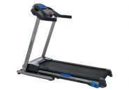 Беговая дорожка электрическая Royal Fitness RF-1 (F-52)