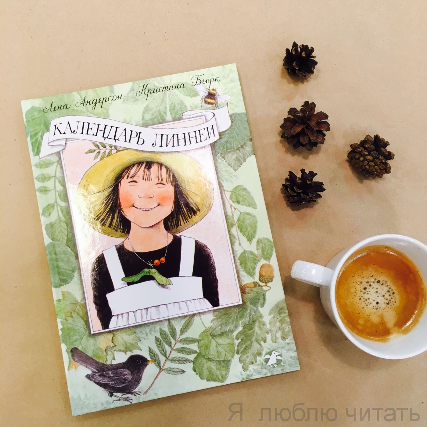 Календарь Линнеи