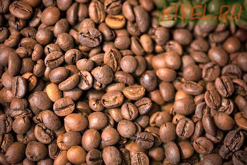 Робуста Уганда