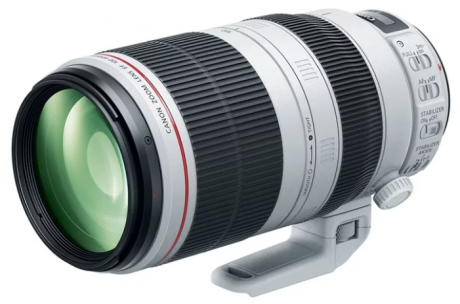 Canon EF 100-400mm f/4.5-5.6L IS II USM