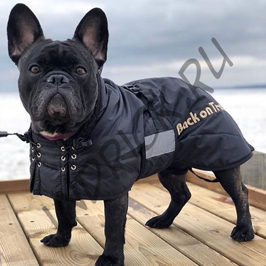 Прогулочная утепленная попона Back on Track для собак