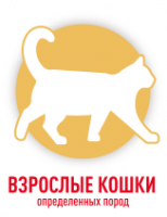 Взрослые кошки