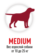 Medium (10-25 кг)