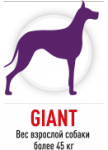 Giant (свыше 45 кг)