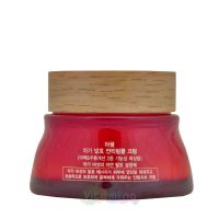 The SAEM Chaga Anti-wrinkle Cream Антивозрастной крем с экстрактом чаги 3