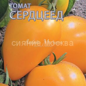 Томат Сердцевидный оранжевый (Мязина)