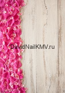 Фотофон N25 а3