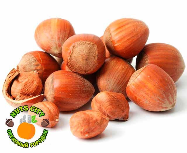 Фундук в скорлупе (отборный) Фундук в скорлупе (отборный)