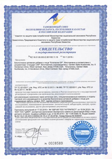 Echinacea GP (Ехинацея Джи Пи)