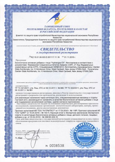 Hydrangea EX (Хайдрэнджи Экс)