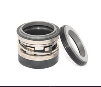 Торцевое уплотнение 65mm 2100K BS GGR1S1