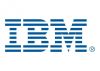 Жесткий диск IBM SAS 2.5 дюйма 42G0275