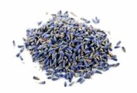 Лаванда (Lavendula officinalis)