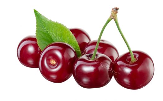 Стол не раздвижной Триумф  1000х700 мм опоры  хром/массив