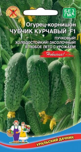 Огурец-корнишон ЧУБЧИК КУРЧАВЫЙ F1,10 шт