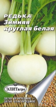 Редька Зимняя круглая белая