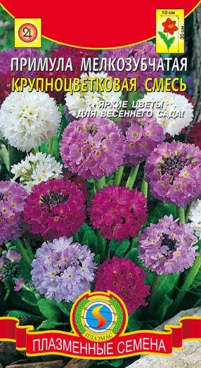 Примула мелкозубчатая Крупноцветковая Смесь, 0,01 гр