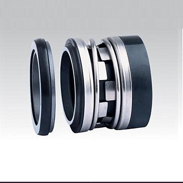Торцевое уплотнение SN2100 48мм CAR/CER/VITON/L3