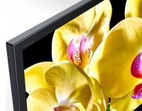 Sony KD-65XG8096 цена