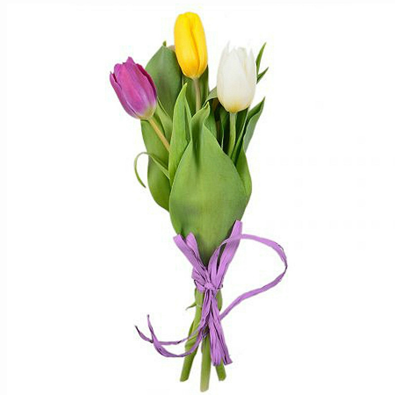 Тюльпаны по 3 шт