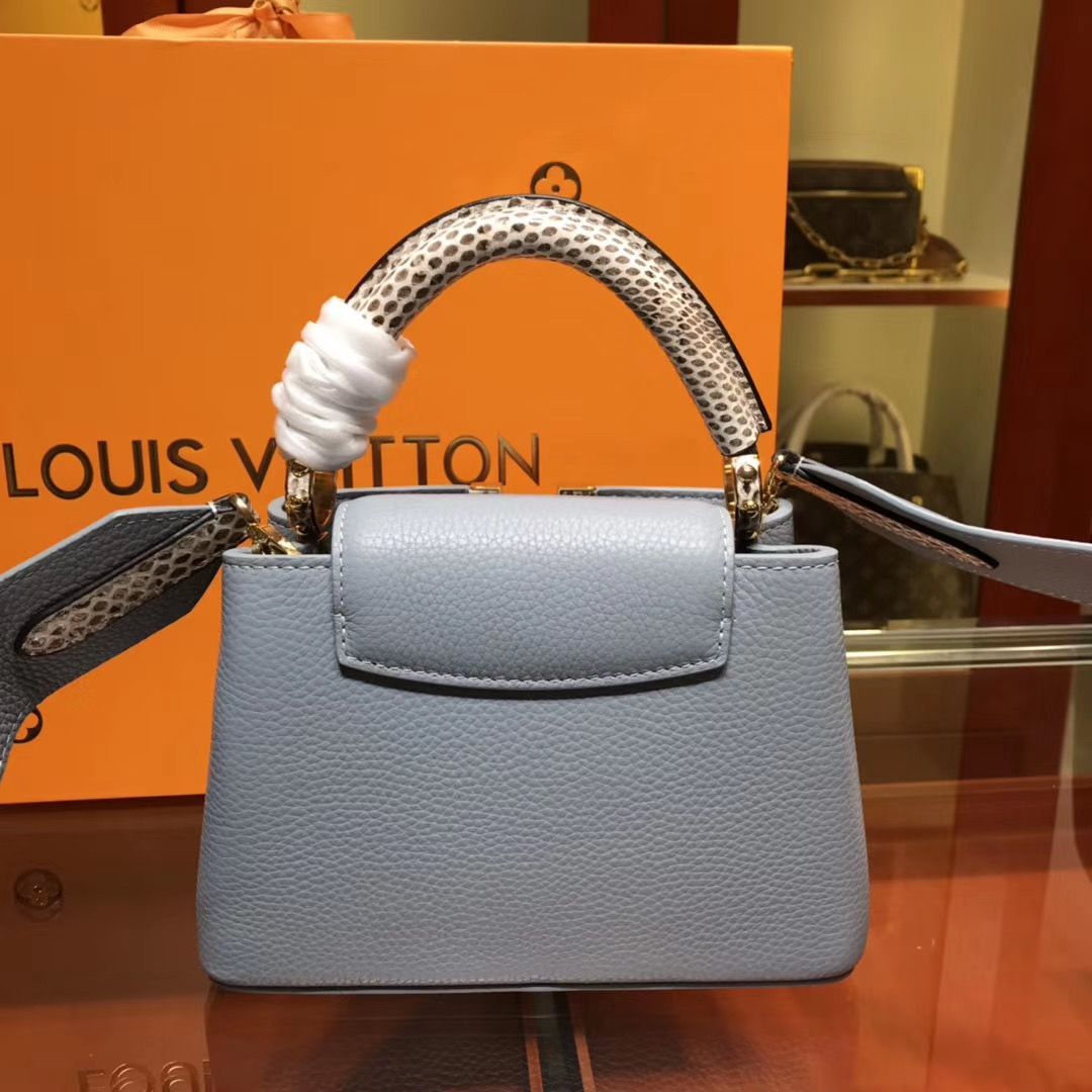 Louis Vuitton Cappucines Mini