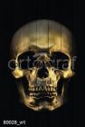 80028 Картина на досках серия DARK