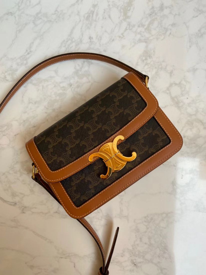 Клатч CELINE Triomphe Canvas