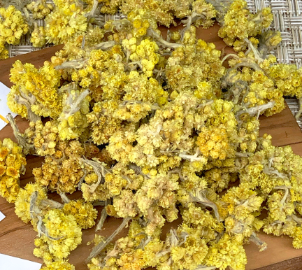 Бессмертник 40гр