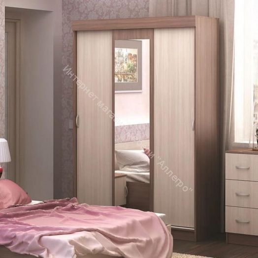 Шкаф-купе "Басса" (Бася) малый с зеркалом ШКК 551