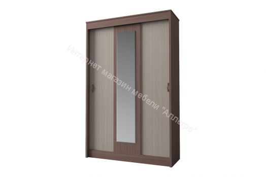 Шкаф купе "Бассо" 1,3