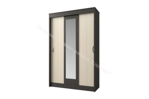 Шкаф купе "Бассо" 1,3