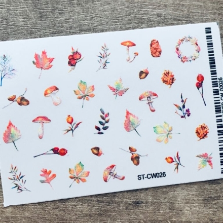 Осень. Грибы