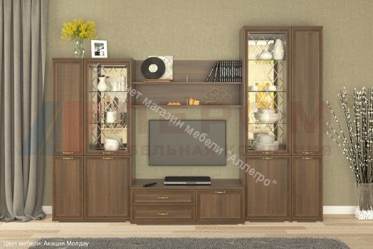 Гостиная Карина №24