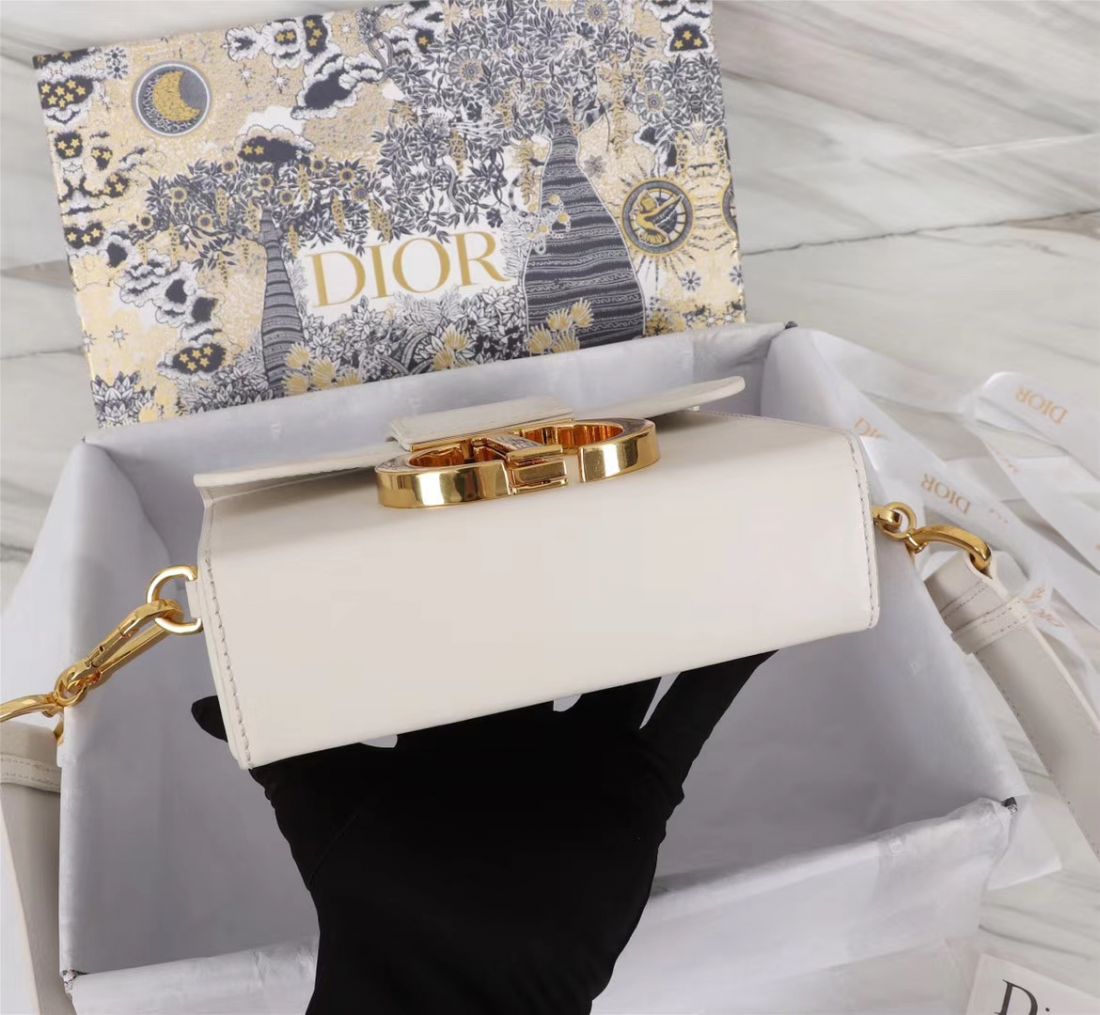 Dior Montaigne 30 Mini Box