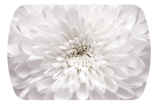 Стол обеденный "Бостон-2" Флоренс/хром брифинг