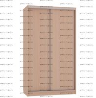 Шкаф-купе Рио 5 (120х61х231)