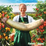Dajkon-Russkij-Razmer-F1-Russkij-ogorod