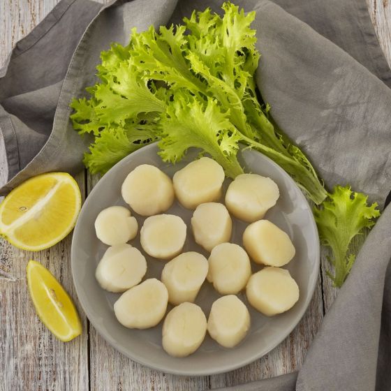 Морской гребешок 10/20, охлажденный