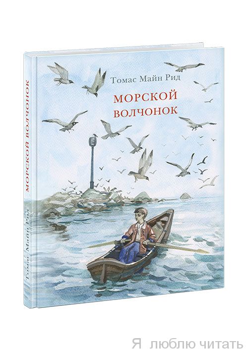Морской волчонок ( Нигма)