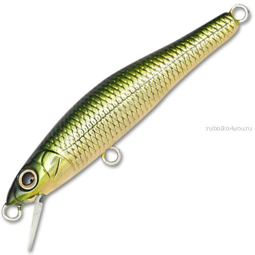 Воблер Megabass X-55 Minnow F 55 мм / 2,9 гр / Заглубление: 0,6 - 0,8 м / цвет: GG Moss Back Golden Shad