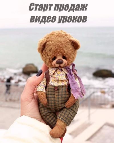 Мишка Тедди с валяной мордочкой (JULIANNA NAYDINA)