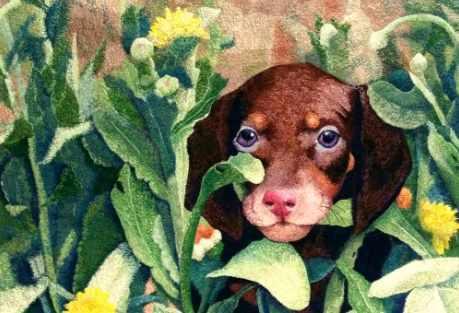 [КвилтМаркет] Курс «Лоскутная живопись» (Любовь Лежанина)