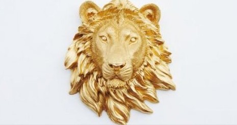 Доверие и деньги (Елизавета Рачевская, Ольга Осипова)