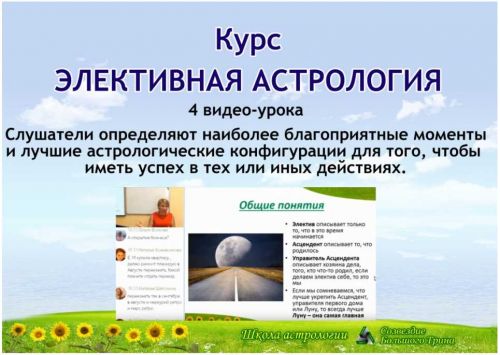 Элективы (Елена Ушкова)