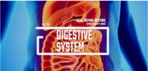Пищеварительная система: обновление, восстановление и омоложение (spiritualityzone)