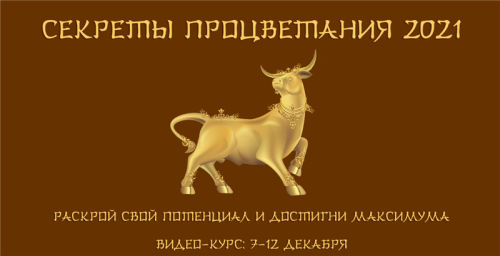 Секреты процветания 2021 (Юрий Сбитнев)