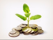 Символические звезды и любовь в бацзы (Анна Зайцева)