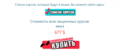 The Final Countdown. Тотальная ликвидация. Тотальная распродажа (Юлия Воронина)